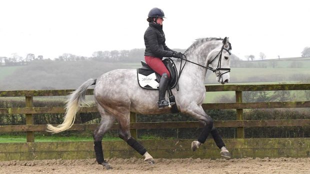 Beth Bainbridge riding Anna Ross’s Habouche at home.