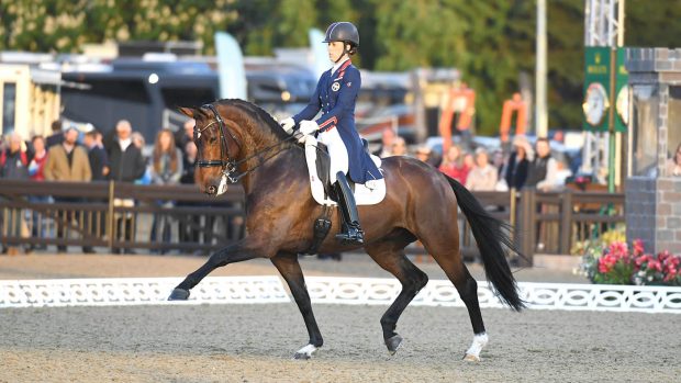 Mount St John Freestyle