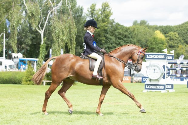 Find out who will be judges at the Royal International Horse Show 2021 including the horse and pony supremes