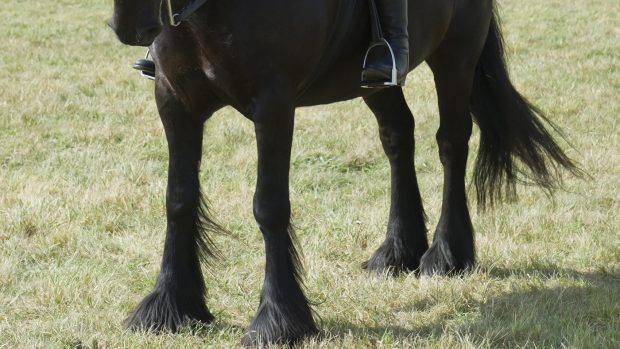 Ella Souster on Castlehill Glen (2nd M&M fell, dales, sec d; HL)
