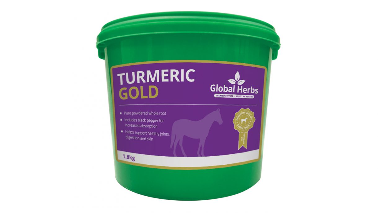 Turmeric for horses benefits and options to buy Horse & Hound