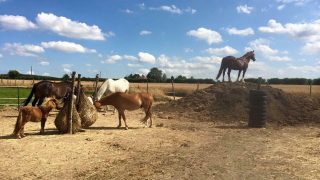 An example of a track system in use at Graveney Equine.