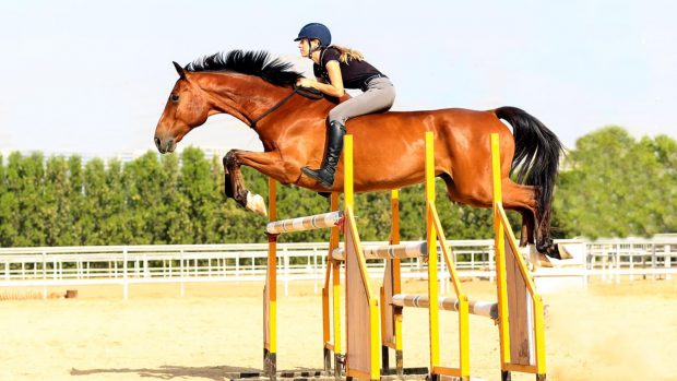 Holly Coetzee Tackless jumping