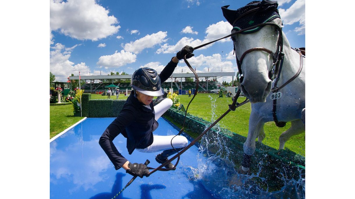 Sharkinfested waters? 8 classic water jump fails Horse & Hound