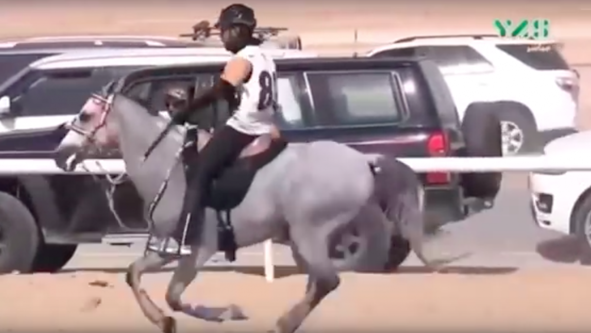 Ban for rider who whipped horse until it collapsed with exhaustion and