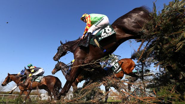 Grand National on TV