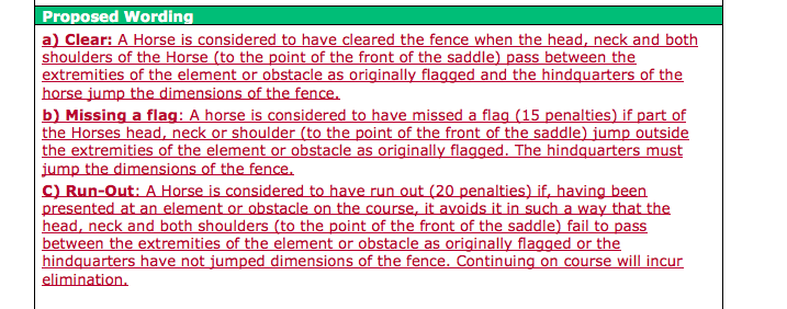 FEI flag rule first draft proposal 2020