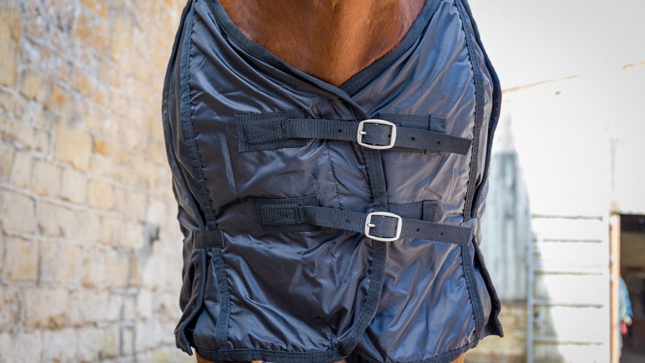 Back on Track mesh rug review