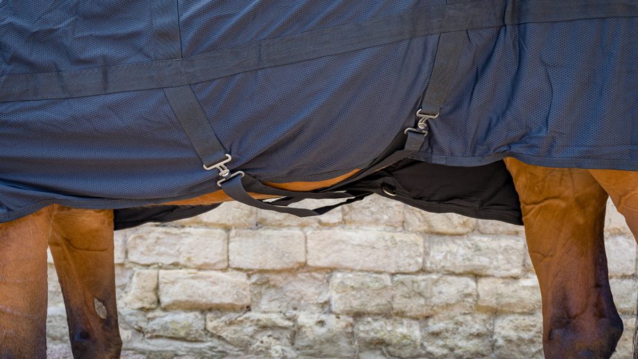 Back on Track mesh rug review