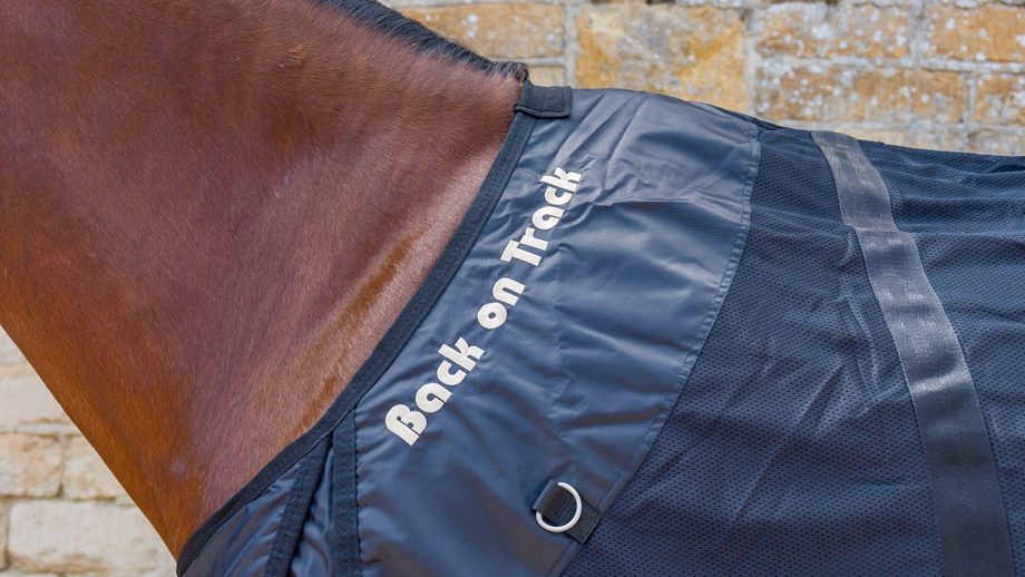 Back on Track mesh rug review