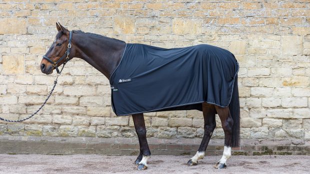 Bucas Panel Prize cooler review