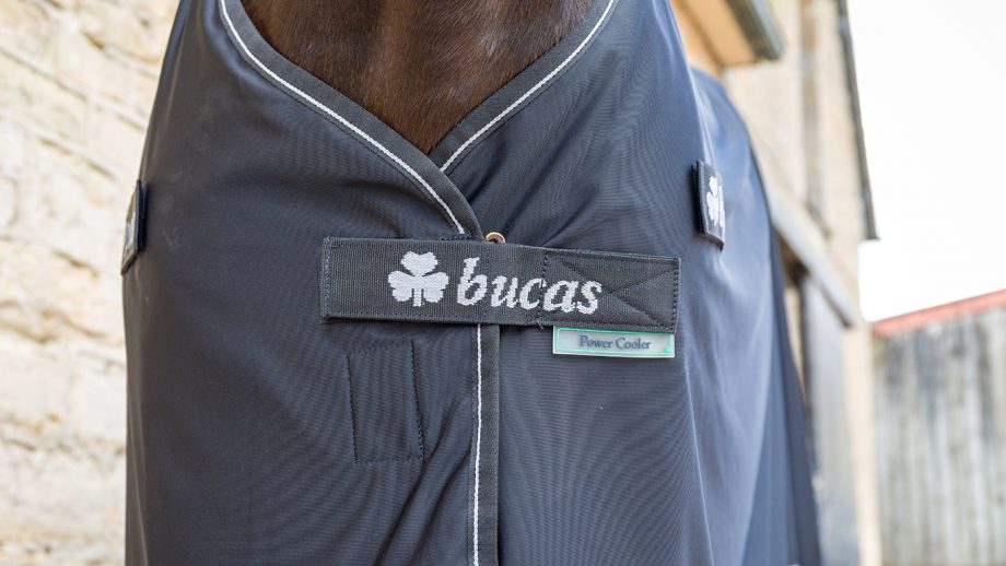 Bucas Panel Prize cooler review