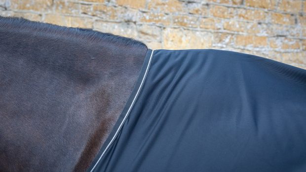 Bucas Panel Prize cooler review