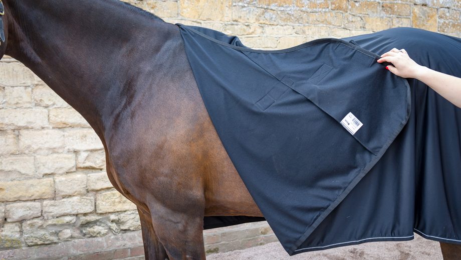 Bucas Panel Prize cooler review