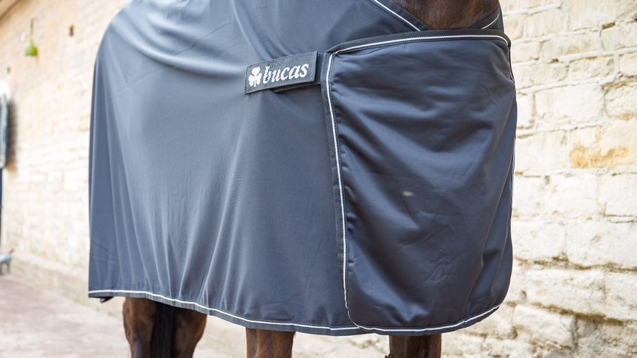 Bucas Panel Prize cooler review