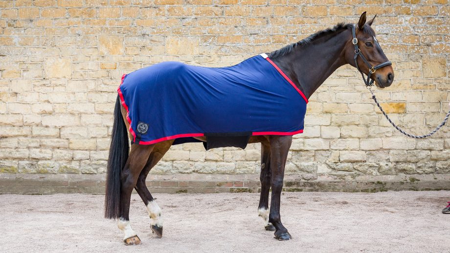 Herbb Body Hugger Original rug review