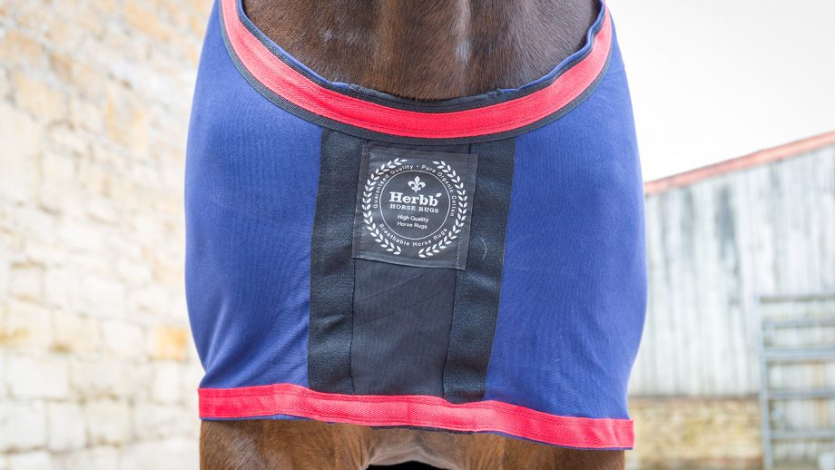 Herbb Body Hugger Original rug review