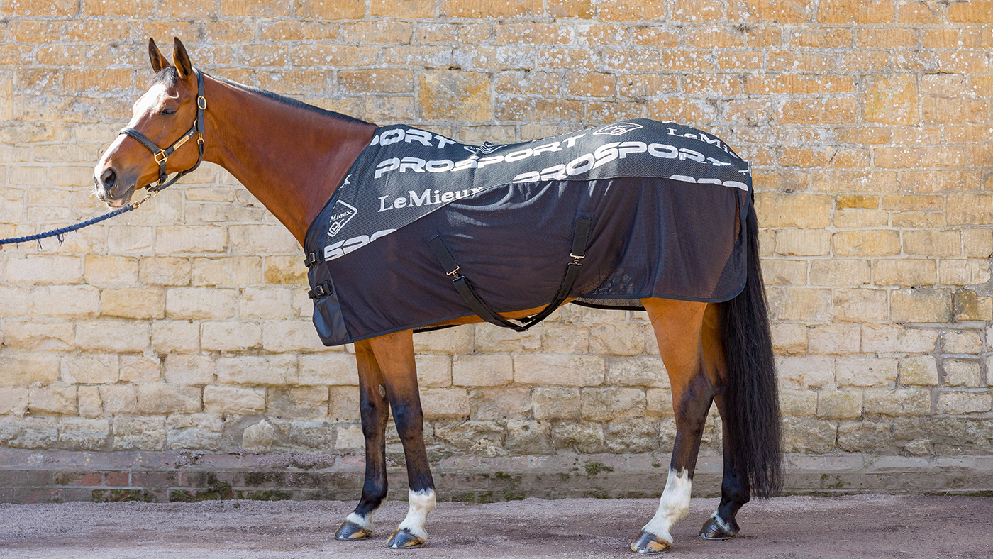 Best travel rugs Horse & Hound’s tester ranks her favourites