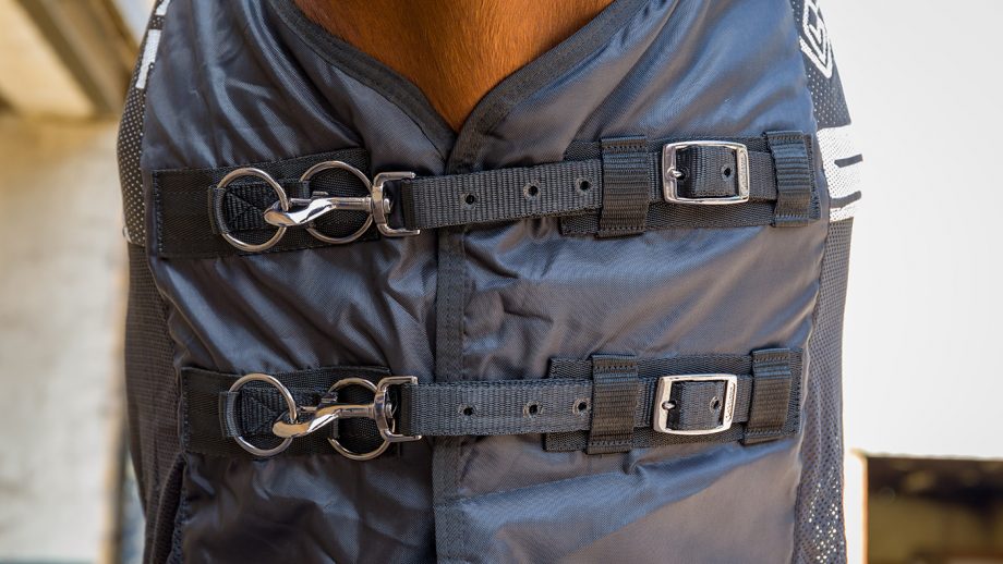 LeMieux Carbon cooler rug review