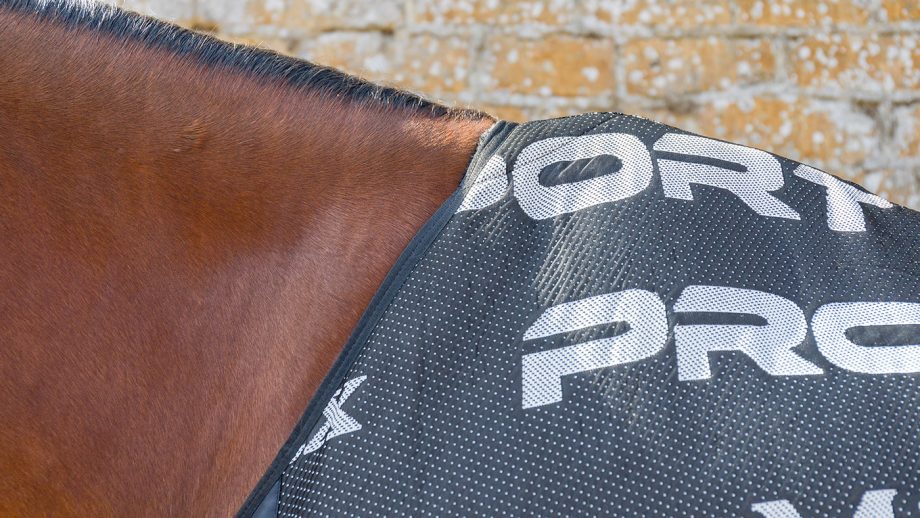 LeMieux Carbon cooler rug review