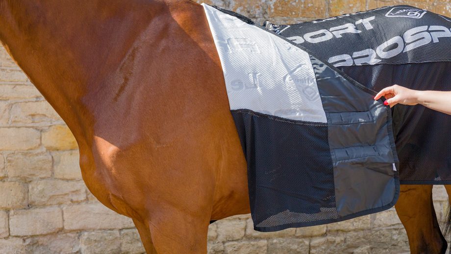 LeMieux Carbon cooler rug review