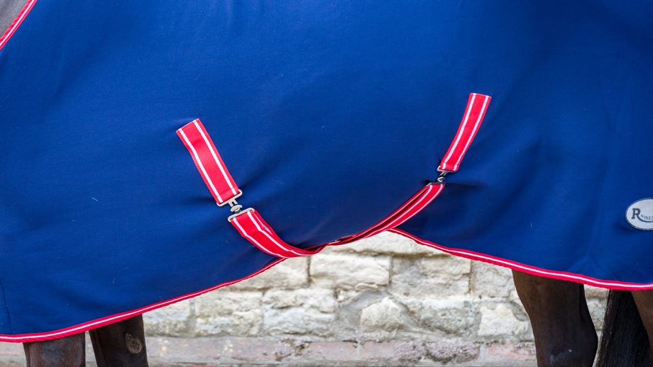 Rhinegold Smart Tec rug review