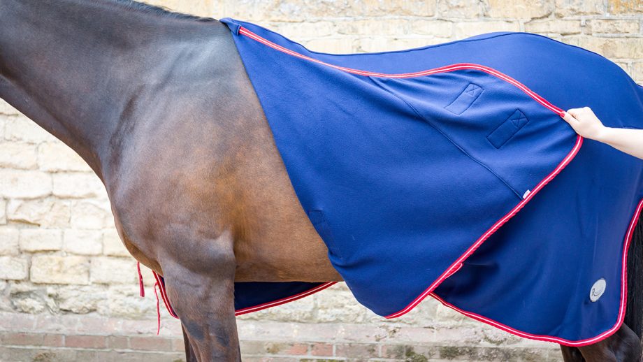 Rhinegold Smart Tec rug review