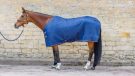 Shires Tempest Original Thermo Quilt rug review