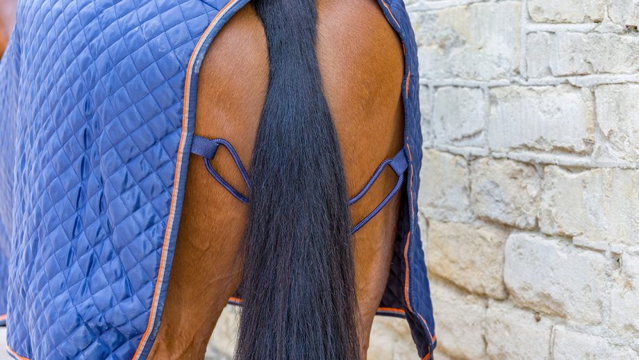 Shires Tempest Original Thermo Quilt rug review