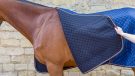 Shires Tempest Original Thermo Quilt rug review
