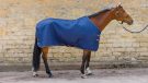 Shires Tempest Original Thermo Quilt rug review