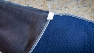 WeatherBeeta Thermic Quilt standard neck cooler review