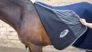 WeatherBeeta Thermic Quilt standard neck cooler review