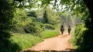 Menopause information horse riding