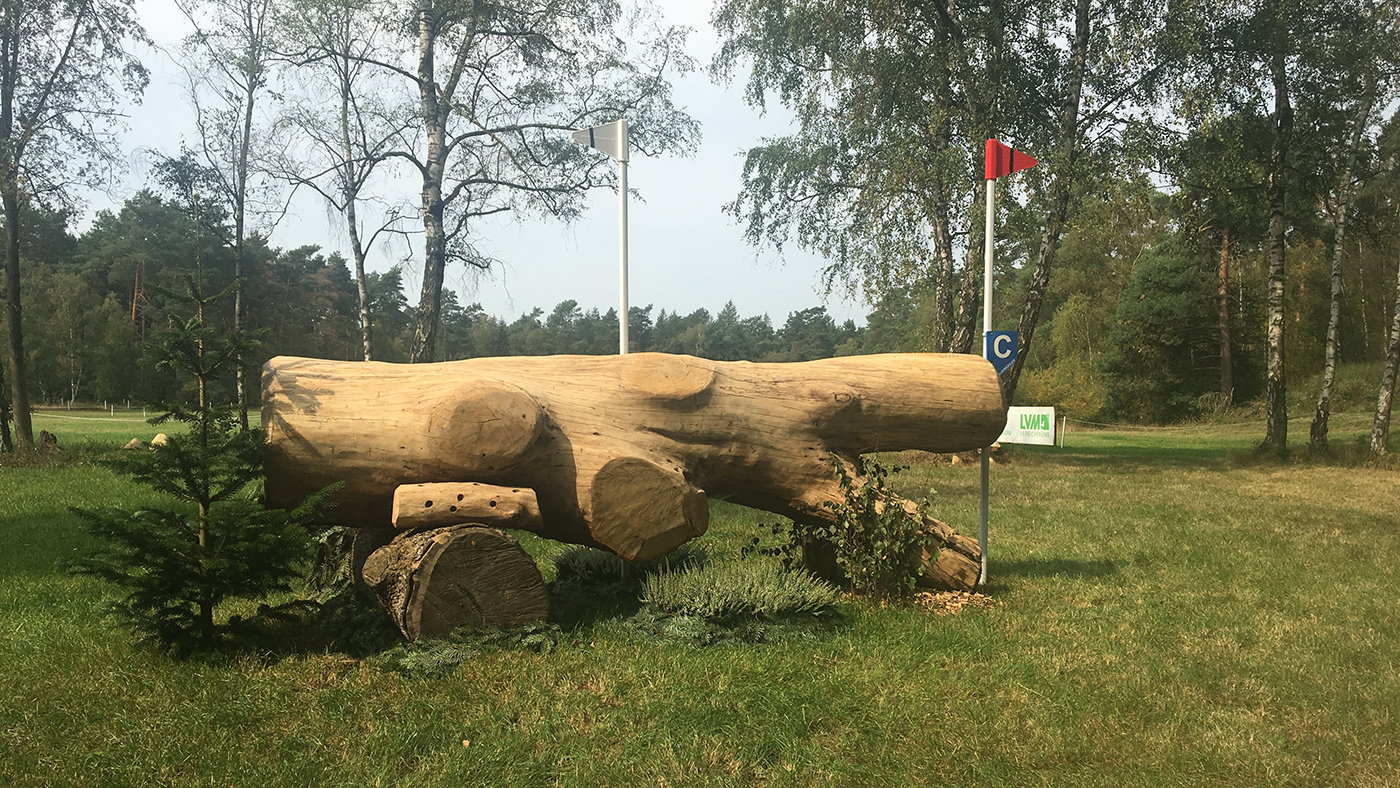 European Eventing Championships cross-country course