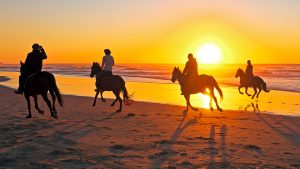 horse-themed holidays