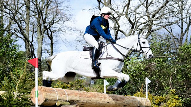 flora harris amazing viii