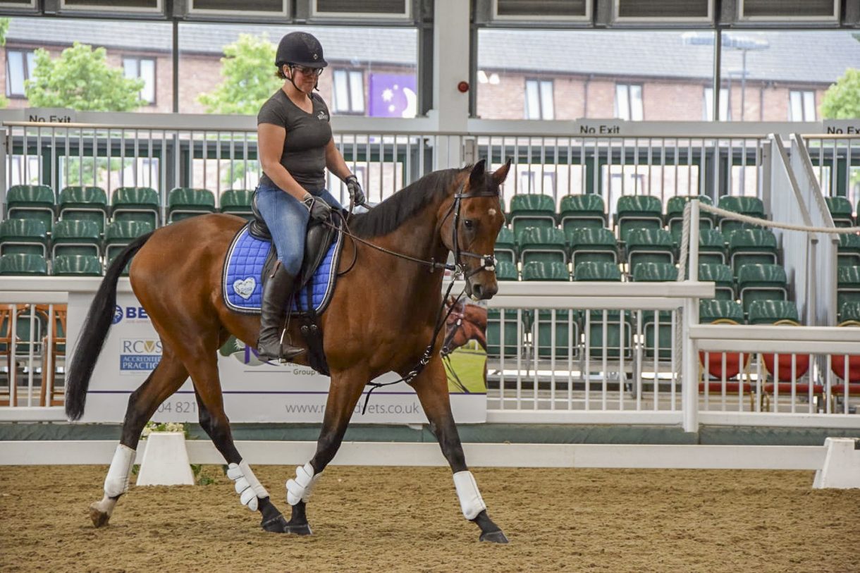 Clare Poole’s racehorse to riding horse blog polar opposites embark on