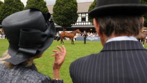 Dublin Horse Show 2021 cancelled