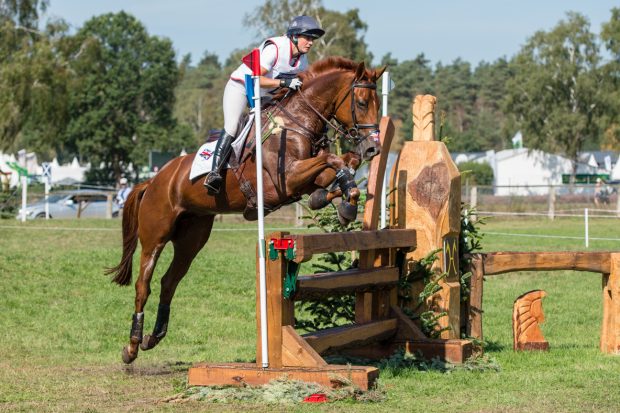 Piggy French yellow card