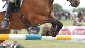 Pony Club Championships 2021