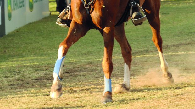 FEI endurance Pierre Arnould