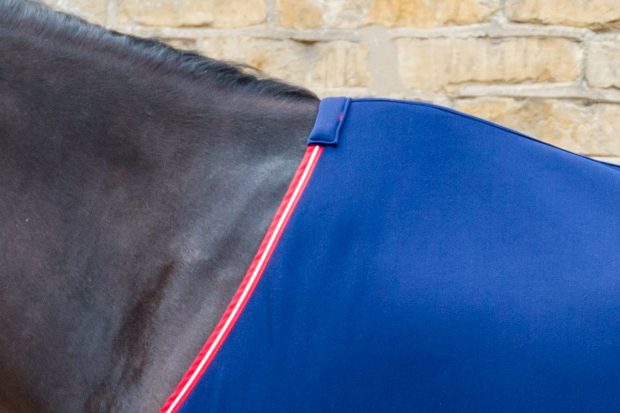 Rhinegold Smart Tec rug review