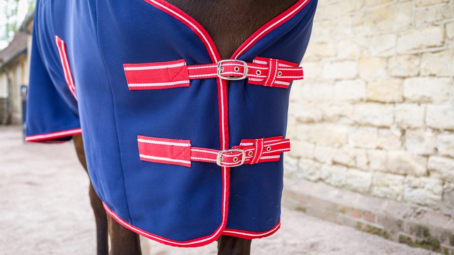 Rhinegold Smart Tec rug review