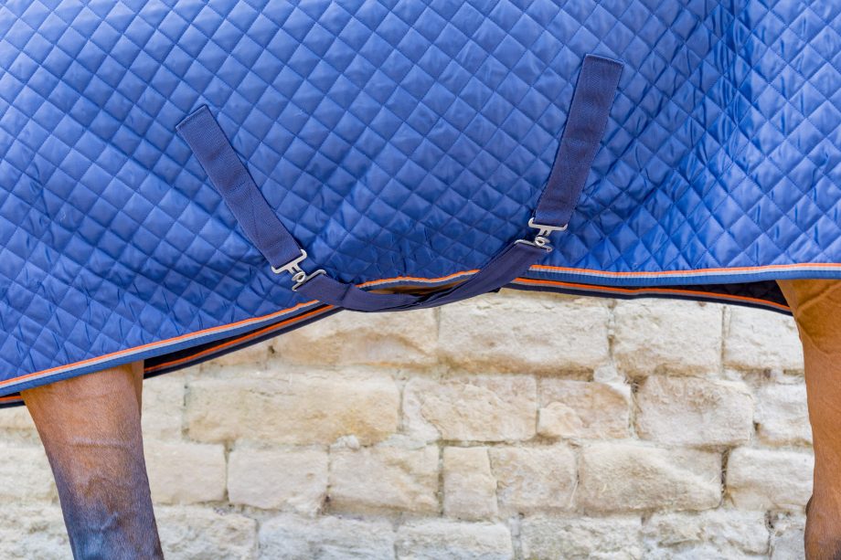 Shires Tempest Original Thermo Quilt rug review