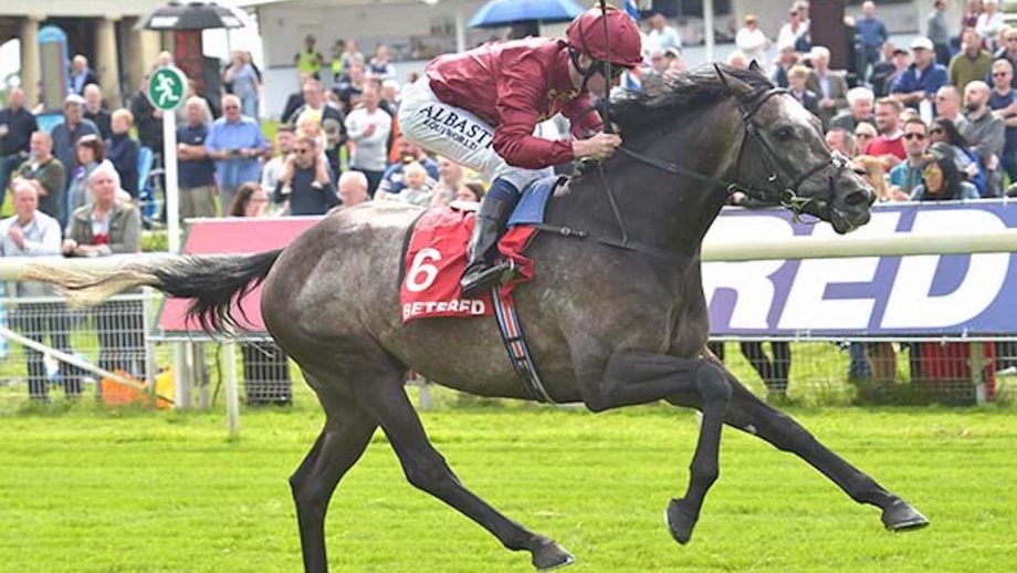 Roaring Lion colic