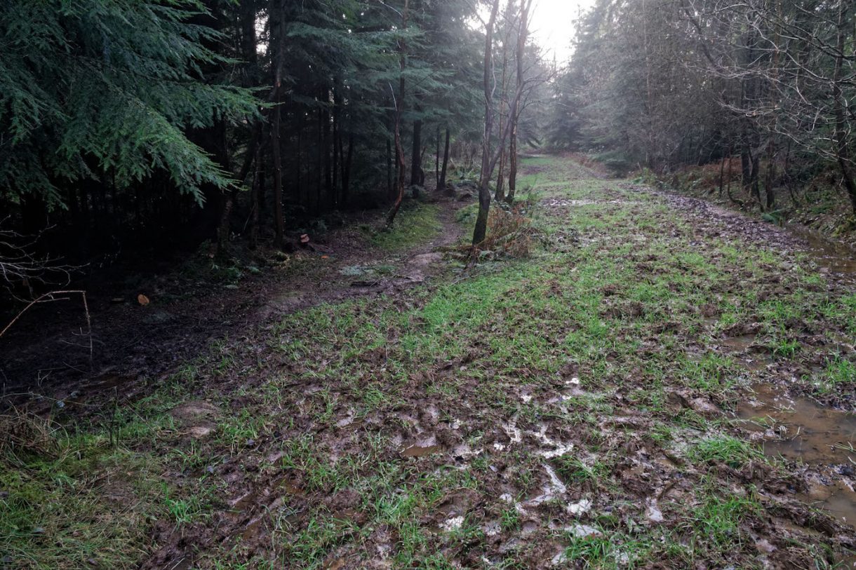 can you cycle on a public bridleway