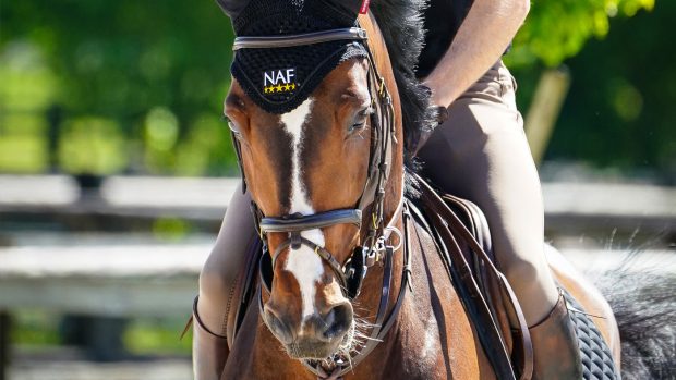 Experience-the-Boost