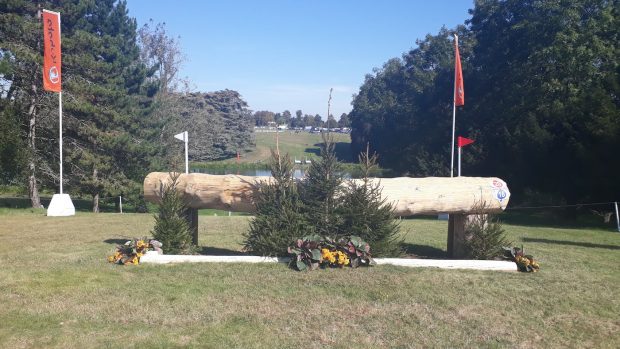 Blenheim cross-country 2019