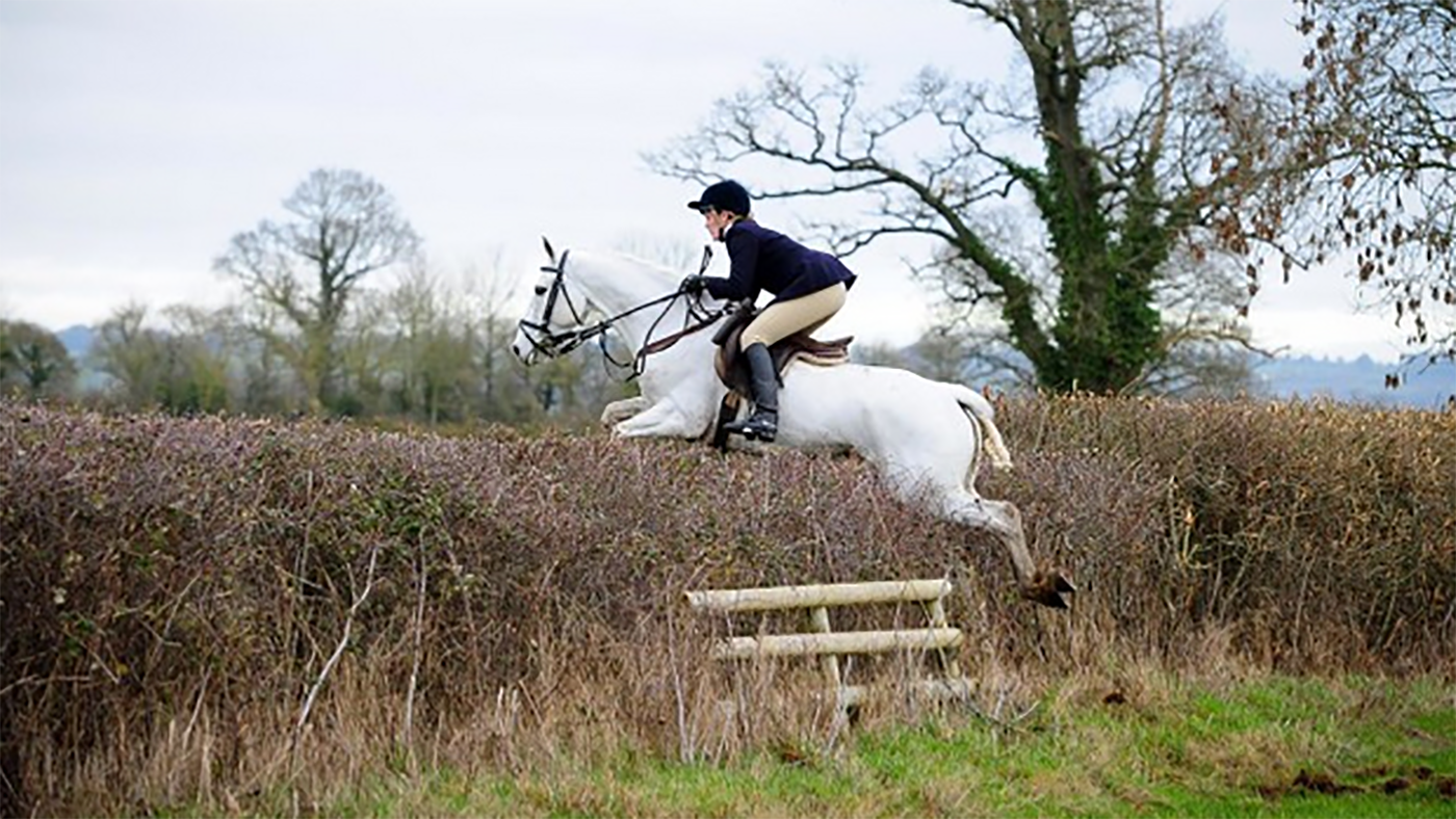 Connemara ponies for sale — brought to you by Horse & Hound